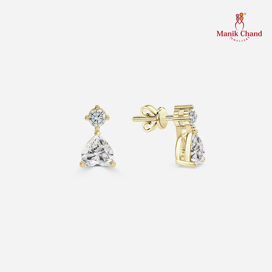 Charming Drop Heart Earrings